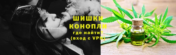 PSILOCYBIN Белокуриха