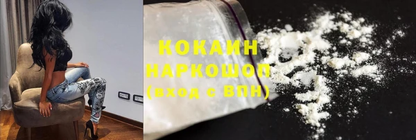 PSILOCYBIN Белокуриха