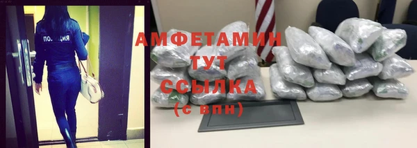 PSILOCYBIN Белокуриха