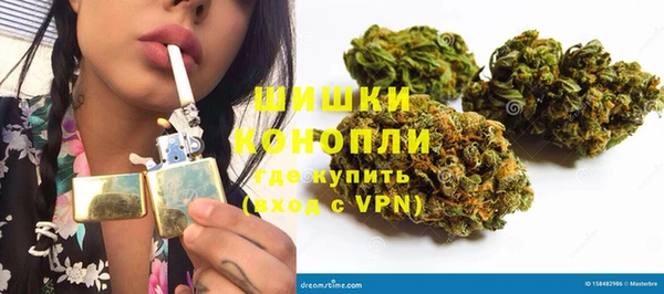 PSILOCYBIN Белокуриха