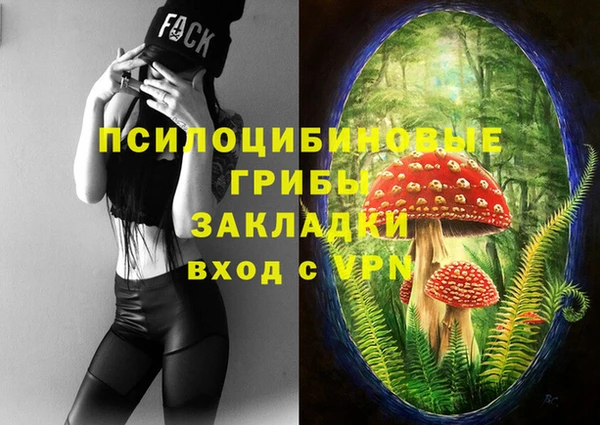 PSILOCYBIN Белокуриха