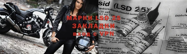 спайс Беломорск