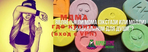PSILOCYBIN Белокуриха